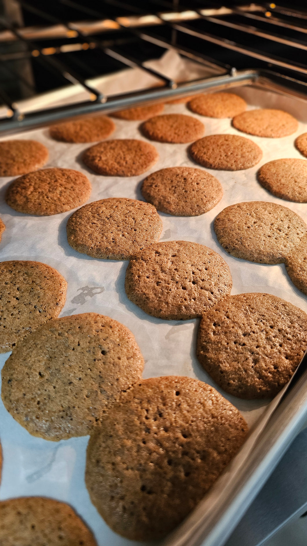 Coffee Cookies / Galletas de Café